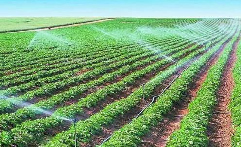插搞逼农田高 效节水灌溉